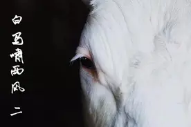 金庸武侠小说《白马啸西风》，第二回，原著朗读，音频视频封面