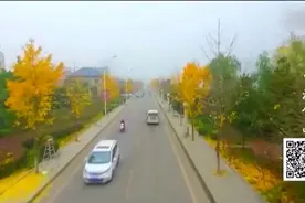 河南南阳：西峡老家一条路改为“黄金大道”视频封面