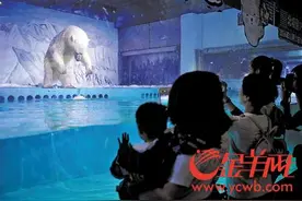 广州正佳广场海洋馆质疑声中改建两次 仍存安全隐患图片