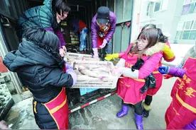 雪中送鱼 江夏农庄主3000斤爱心鱼温暖廉租房居民图片