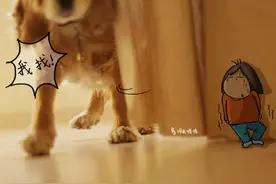 收养8年宠物犬走失 主人画《寻狗漫画》记录温馨点滴图片