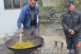 贵州农村80岁大奶奶上山采的野菊花，干的才10元1斤，太不容易了