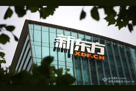 新东方涉欺诈在美遭调查 这次新东方摊上这个大事了图片