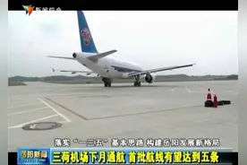岳阳三荷机场下月通航 首批开通五条航线视频封面
