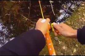 钓鱼！国外小龙虾泛滥一钩钓三只，想放它都不想走！视频封面