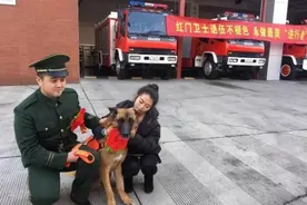 消防战士与搜救犬一起退伍，并肩作战的“战友”是如何炼成的图片