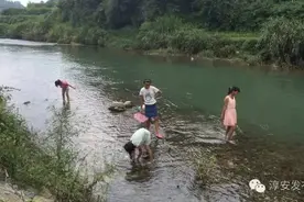 没菜下锅了，我们到溪里抓些好吃的“哼汪”图片