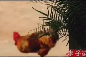 古香古食茉莉酱