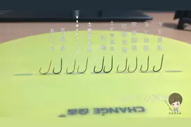 十款袖钩评测，看看哪款钓钩更适合你！