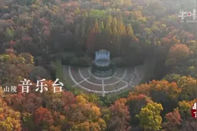 中山陵音乐台：人间仙境，聆听自然之声视频封面