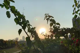 自律改变生活第48天：两天只吃一顿饭，轻断食减肥最后一天看效果视频封面