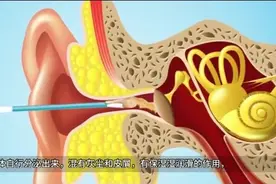为什么掏耳朵后，特别痛还一直外流黄色粘液，看完恍然大悟