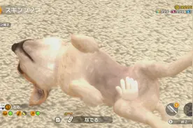 云养猫狗！萌宠游戏《小小伙伴》Switch版全新预告