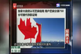 加拿大签证认可芝麻信用 满750分可替代存款证明视频封面