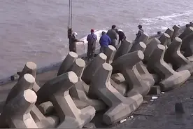 好可怜，10吨重的须鲸死亡，搁浅在海滩，被发现时尸体已经腐烂..#可怜视频封面