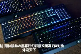 「汉化」雨林狼蛛&黑寡妇幻彩版&黑寡妇X对比——外设天下视频封面