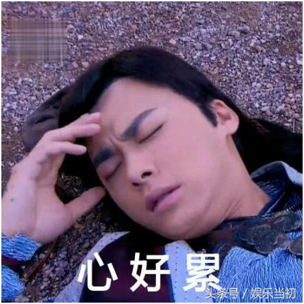 王菲是密宗肉莲法器天涯,因信仰佛教而被外界误解的王菲:小孩的姓都不