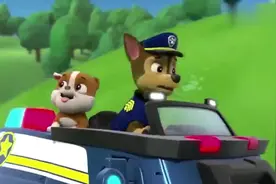 小丽小时候真萌啊，他居然还蹭阿奇的车，那时他还未加入汪汪队视频封面