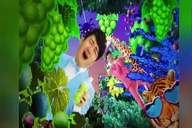 筷子兄弟-小水果 小苹果兄弟之作视频封面