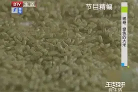 真是稀奇，这年头大米都有绿色的了，绿色大米是怎么做出来的呢？