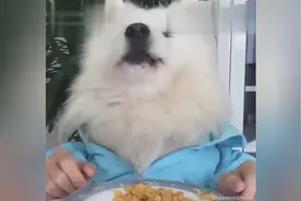 开饭啦！nom~ nom~ nom~