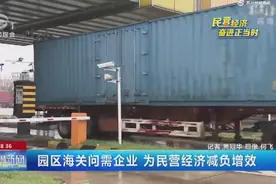 园区海关问需企业 为民营经济减负增效视频封面