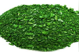 小心！多宝鱼、鳜鱼、鲈鱼是孔雀石绿的主要使用对象图片