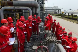 走出去“取暖”,在油市寒冬中“突围”图片