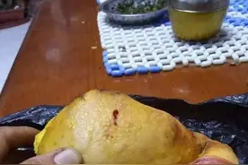 榆中鸡贩杀鸡取出肉疙瘩“鸡宝”？到底是真是假？图片