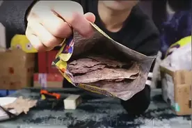 这哥们托人从南美洲买来羊驼肉，吃起来跟羊肉区别真大！视频封面