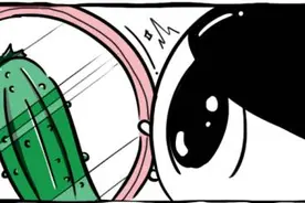 赵本山登台献唱？走秀撞到前男友？今年的维密秀也太精彩了吧……图片