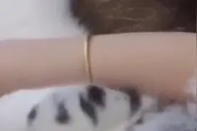 猫咪趴在男主肩膀上，萌翻了，女主豆吃醋了呢视频封面