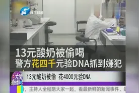 13元酸奶被偷 花4000元验DNA视频封面