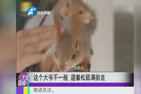 这个大爷不一般 遛着松鼠满街走