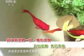 干燥季节 做好鼻部保湿视频封面
