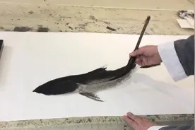 中原画鱼第一人，了然先生亲自作画，国画功力精湛，收藏了视频封面