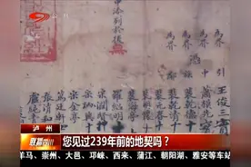 镇馆之宝：清代买卖土地房屋记录 您见过239年前的地契吗？视频封面