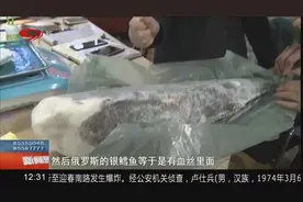 吃鳕鱼也有讲究！低价“鳕鱼”又闯祸，银鳕鱼水鳕鱼你能分清吗？