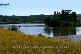 农村老话说“贫穷不走亲，富贵不回乡”是什么意思视频封面