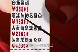 果宝特攻：果宝三剑客饭店吃饭，陆小果橙留香痛宰菠萝吹雪视频封面