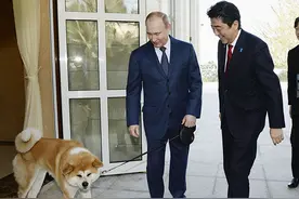 普京访日行程基本敲定：受邀到安倍家乡泡温泉，未安排见天皇图片