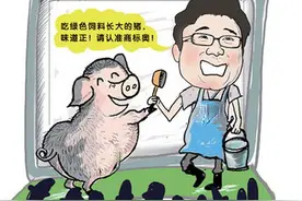 “丁磊猪”的黑富美：一头值中产一年薪酬图片