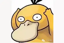 word天︱可达鸭是什么梗？为什么好友的头像都成了可达鸭图片