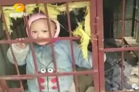 夜读丨妈妈打麻将3岁儿子锁狗笼丨这世界偷偷爱着你图片