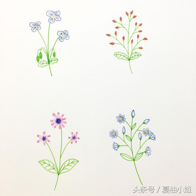 简单的小清新花草简笔画