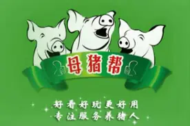 1分钟学养猪！几瓣蒜就能治好的病，就不要给猪乱吃药了！视频封面