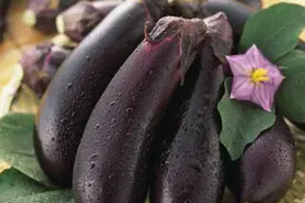 茄蒂不要再扔掉了，煮水喝治咳嗽，还能清热降火！