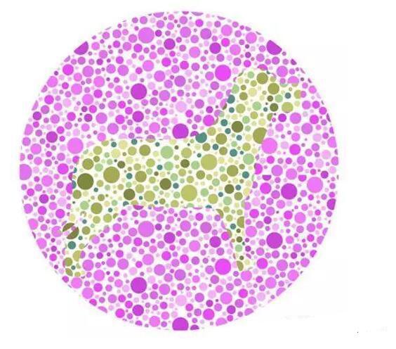 你是色盲吗？别急着回答，测了才知道！这6张图测出结果就很准