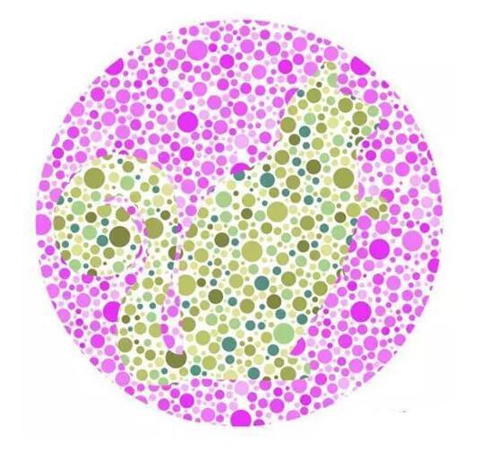 你是色盲吗？别急着回答，测了才知道！这6张图测出结果就很准