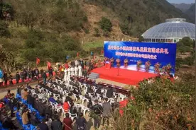 建德将有个星空绿谷小镇！“鸟巢”、果蔬乐园、民宿样样齐全，好期待！图片